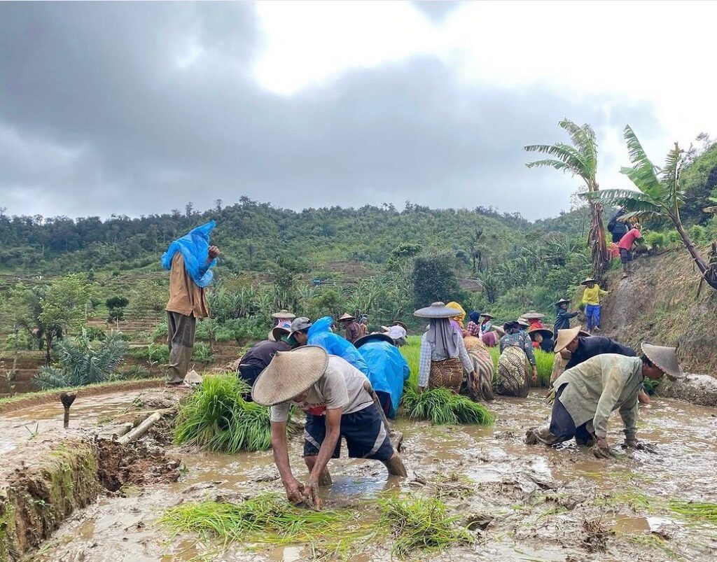 Kasepuhan gelaralam yang sebelumnya dikenal sebagai kasepuhan ciptagelar memberikan gambaran tentang kuatnya ketaatan komunitas adat ini terhadap ajaran leluhur dan keseimbangan alam